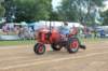 img_7271_small.jpg