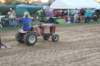 img_7682_small.jpg