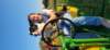 _184251copy_small.jpg