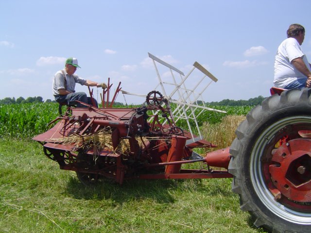 cuttingwheat.jpg