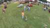 dji00254_small.jpg